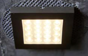 entwicklung der lichtleistung led-lampen warmes Licht energiesparen
