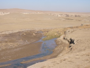 afghanische wüste