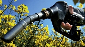 Rapsfeld mit Biodieselzapfschlauch