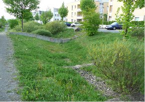 versickerungsmulde für regenwasser